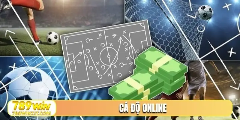 cá độ online