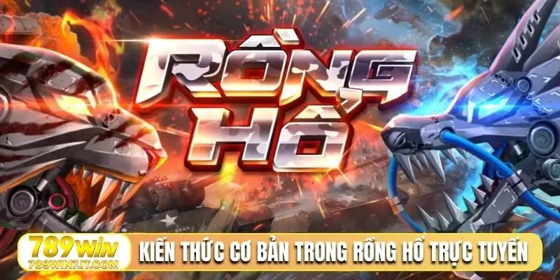 Kiến thức cơ bản trong Rồng Hổ trực tuyến