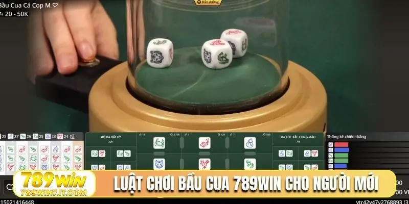 Luật chơi bầu cua 789Win cho người mới