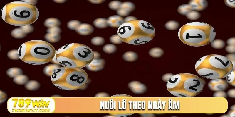 NUÔI LÔ THEO NGÀY ÂM