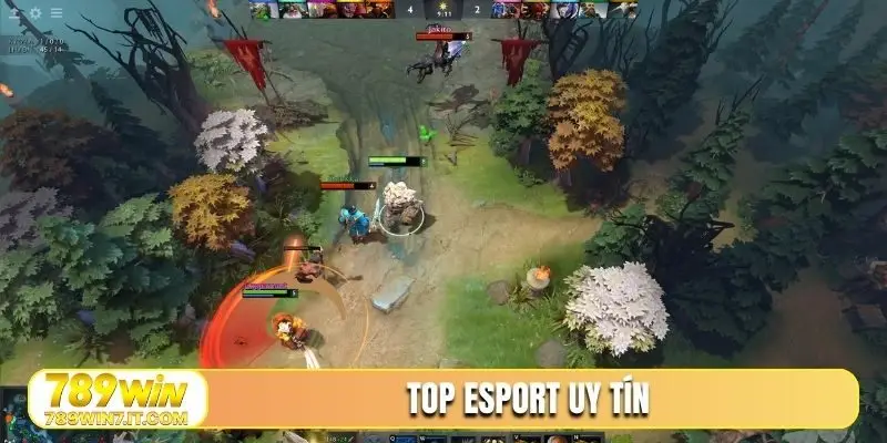 top esport uy tín